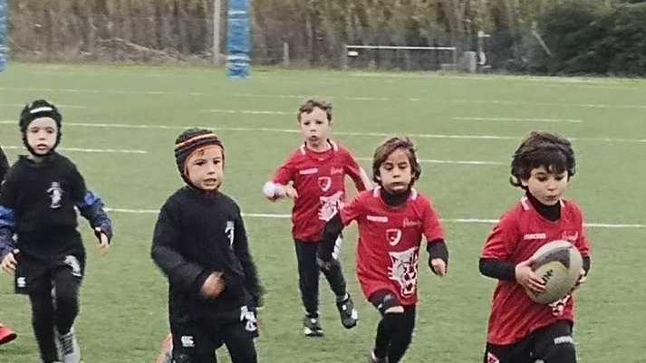 Ottimo esordio a Livorno per i “cuccioli di pantera”