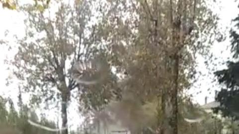 Un fiume al posto dell’asfalto sulla Sp 39