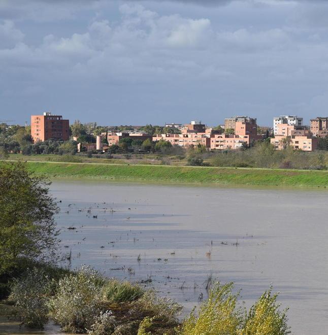 La zona dell'Alberino vista dalla sponda opposta dell'Ombrone (foto Agenzia Bf)