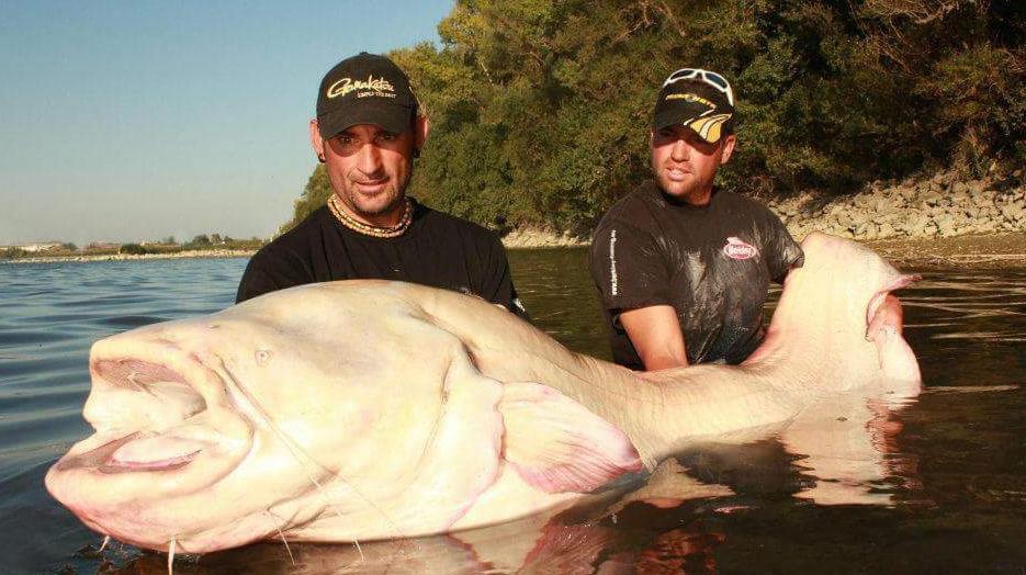 Il pescatore estremo Yuri Grisendi dal Grande fiume a Discovery Channel 