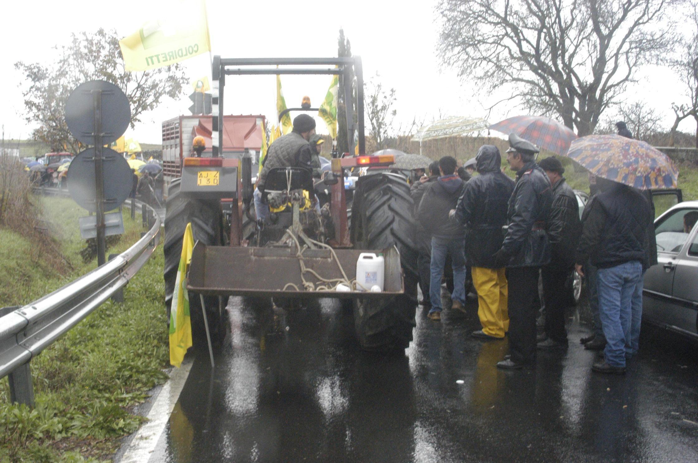 Latte, 500 pastori denunciati: su whatsapp vademecum per la difesa legale