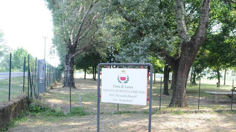 La Lucchese allontana a tempo indeterminato un ragazzo della Juniores