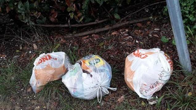 Trenta segnalazioni a settimana all’Ersu per i rifiuti non ritirati