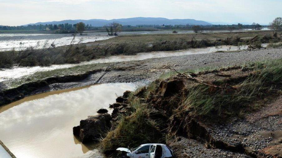 Alberi sull’alveo dell’Albegna «L’acqua non riusciva a defluire»