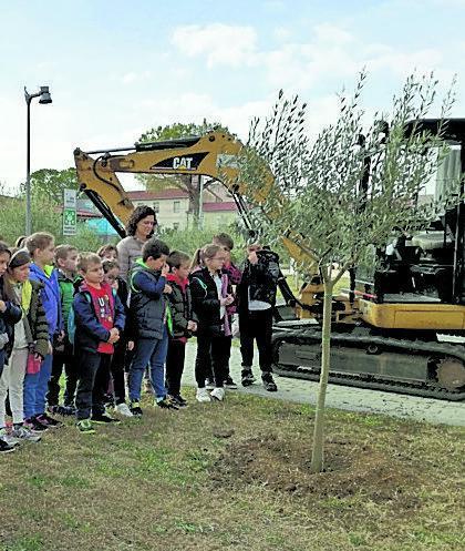 La Festa dell’albero slitta per il maltempo 