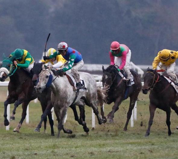 Si corre sul prato degli Escoli Il premio Litorale Pisano (2600 m) è la corsa di centro