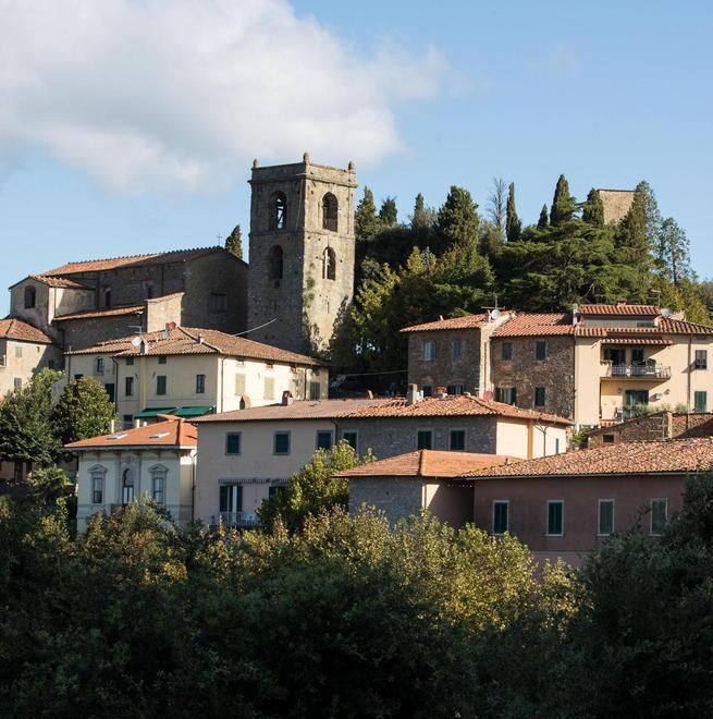 Anche “tree climbing” per ripulire la Rocca 20mila euro di lavori