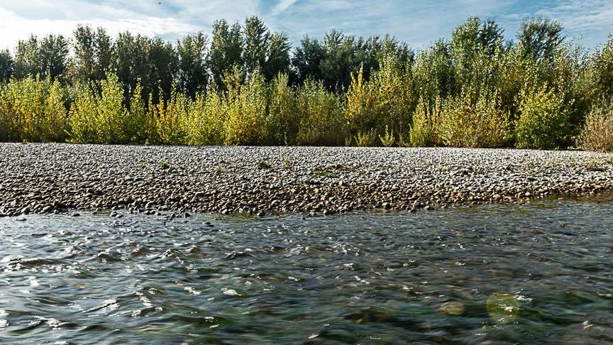 Oggi in regalo la nona foto: il fiume Serchio in tutta la sua bellezza