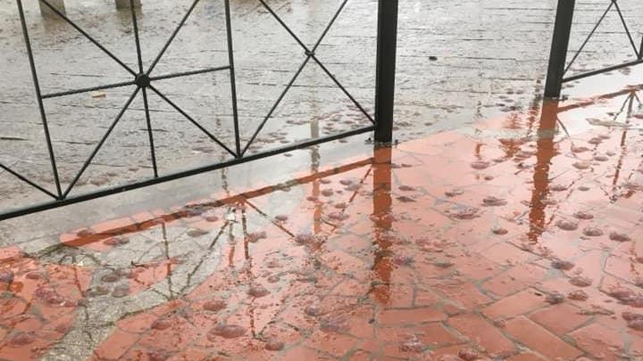 Meduse in piazza Matteotti (foto postata su Facebook da Giulio Guglielmi)