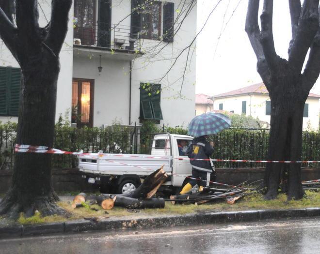 Maltempo, problemi per i rami pericolanti sulla circonvallazione 