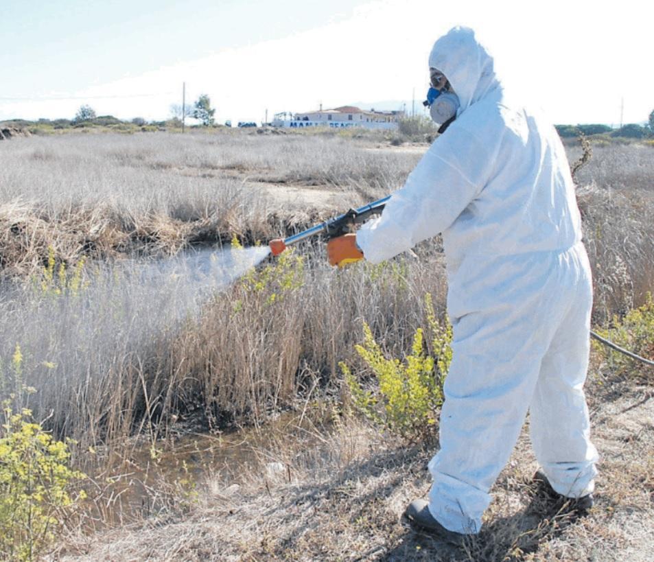 Allarme febbre del Nilo a Ozieri 