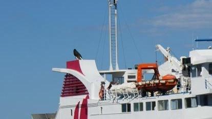 L’isola resta senza traghetto e il sindaco chiama la prefetta