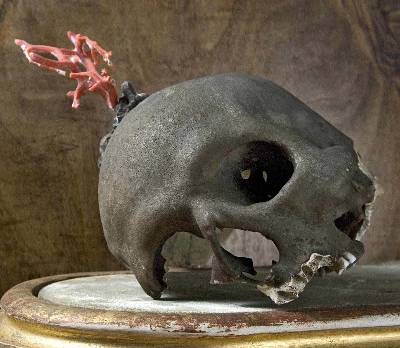 La Galleria storica. Un racconto lungo oltre 400 anni 
