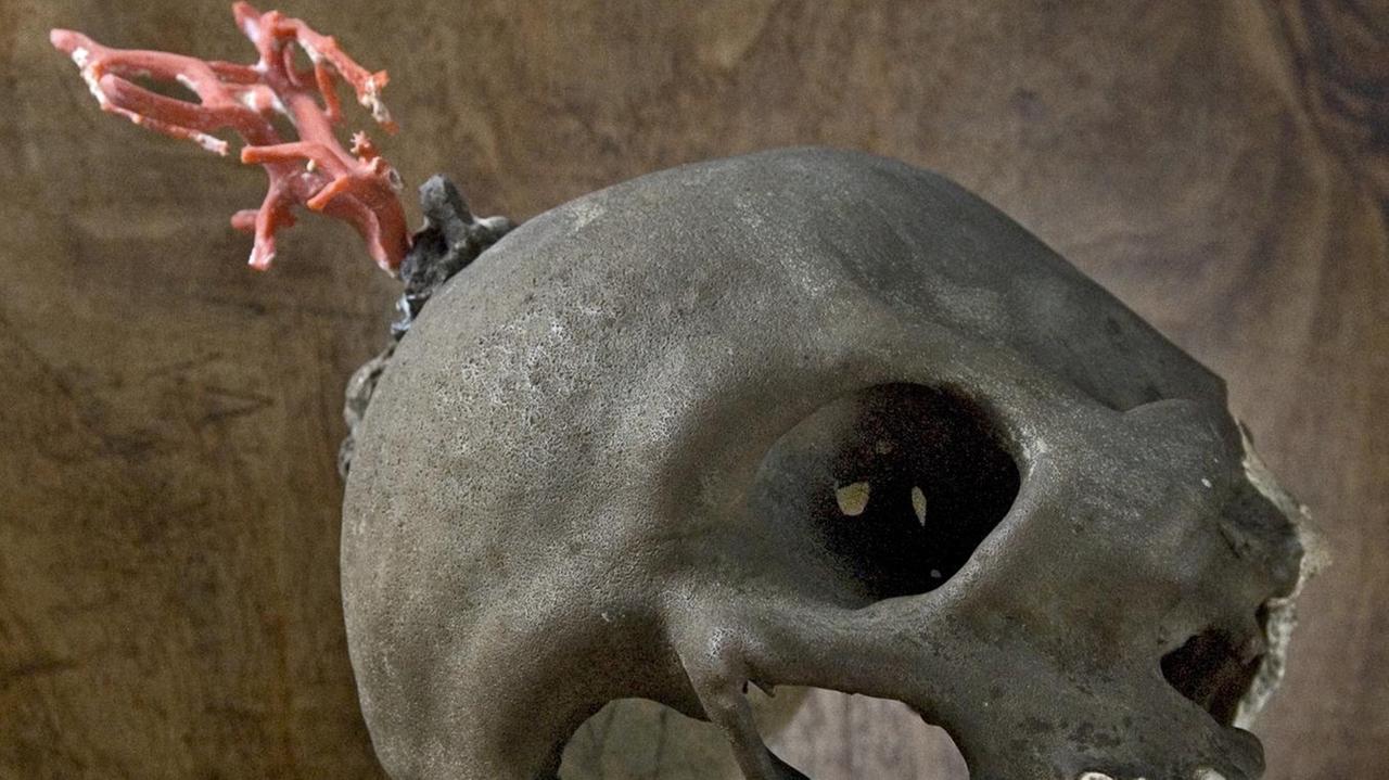 La Galleria storica. Un racconto lungo oltre 400 anni