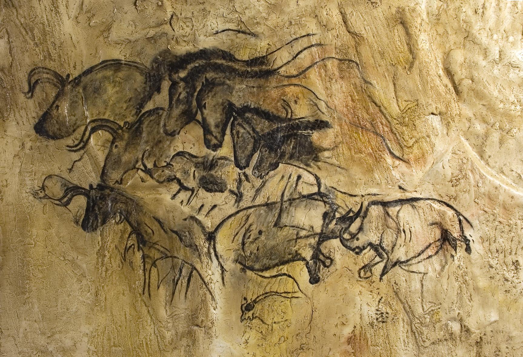 LA SALA DELL’EVOLUZIONE DELL’UOMO. Una sintesi sulle nostre origini 