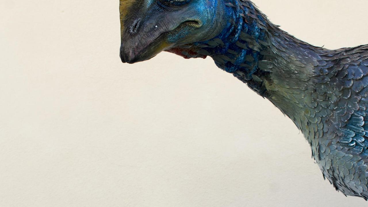 La SALA DELL’EVOLUZIONE DEGLI UCCELLI I dinosauri sono ancora tra noi