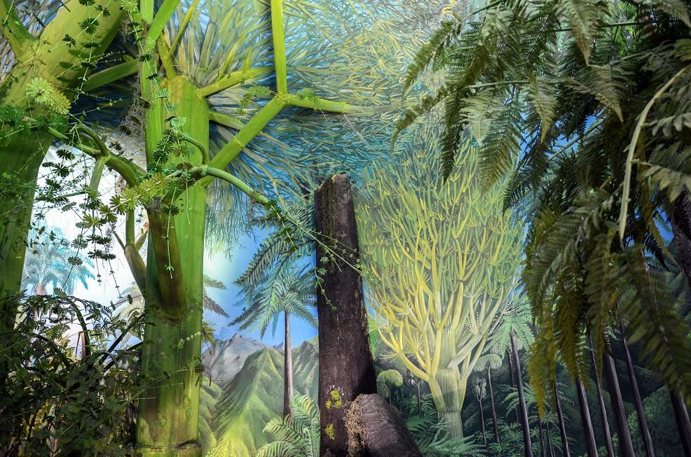 La GALLERIA DELLE ERE GEOLOGICHE Un viaggio nel tempo di 500 milioni di anni 