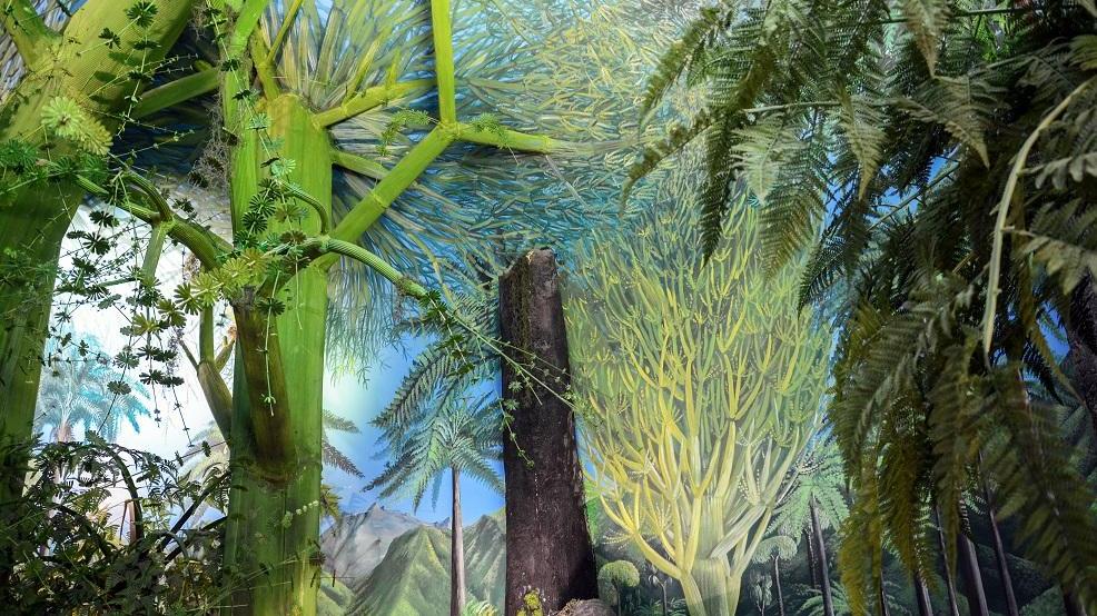 La GALLERIA DELLE ERE GEOLOGICHE Un viaggio nel tempo di 500 milioni di anni