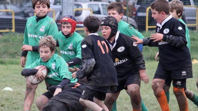 Trofeo Denti: numero speciale del Gispi Herald