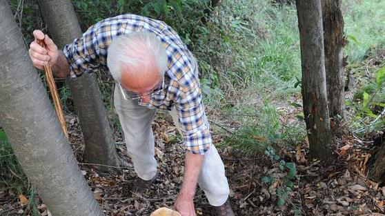 A Lacona il 1° campionato di raccolta dei funghi
