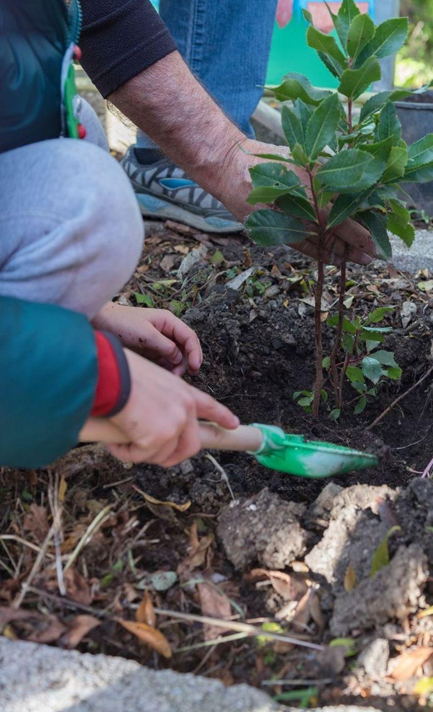 A Laerru i bambini diventano giardinieri per una giornata
