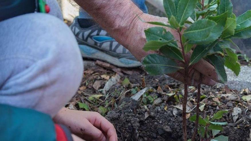 A Laerru i bambini diventano giardinieri per una giornata