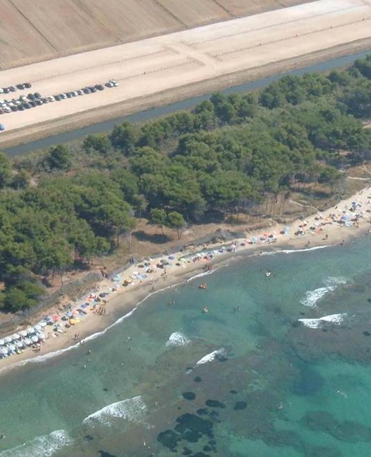 Scogli sommersi e posidonia, così si può limitare l’erosione 