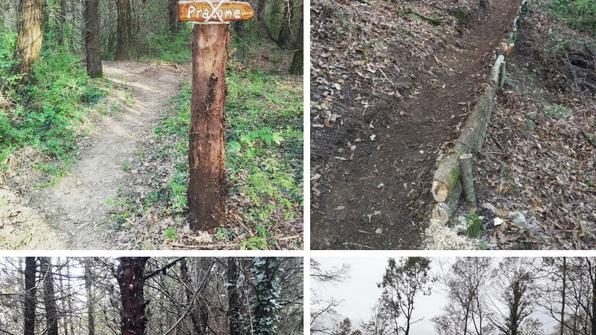 Non esiste più il sentiero per amanti di mountain bike