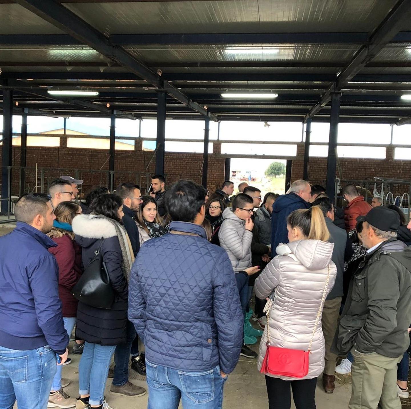 Grande successo per il mercato dei bovini delle razze Charolaise e Limousine 