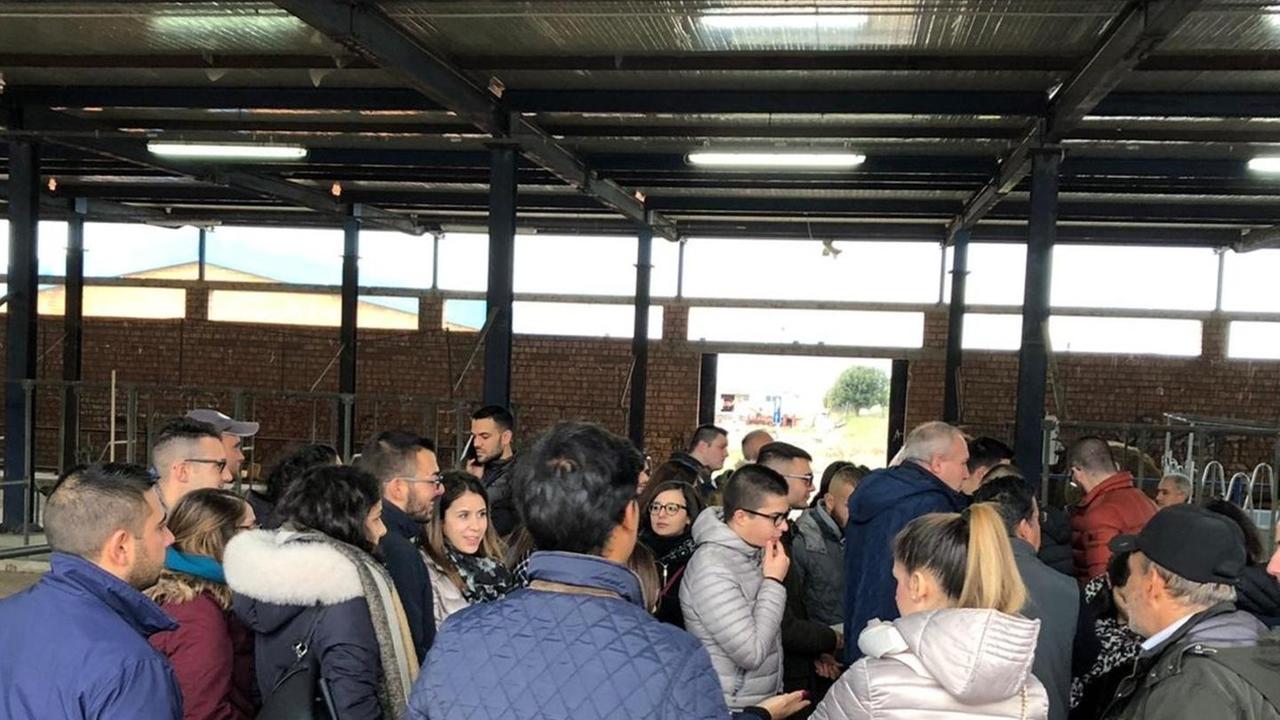 Grande successo per il mercato dei bovini delle razze Charolaise e Limousine