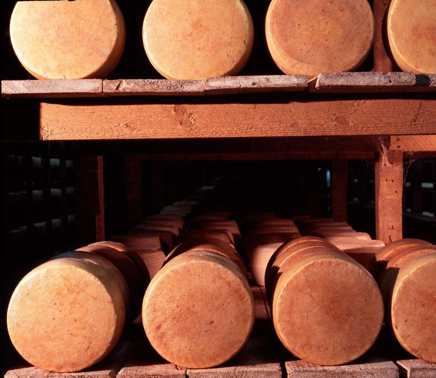 Il Pecorino sardo luccica nella vetrina di New York 