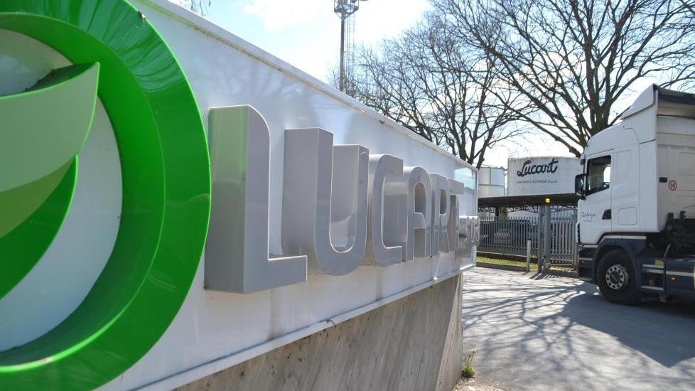 Quattro laureati alla Lucart a Diecimo e a Porcari. Servono esperti di marketing, sicurezza e manager Ict