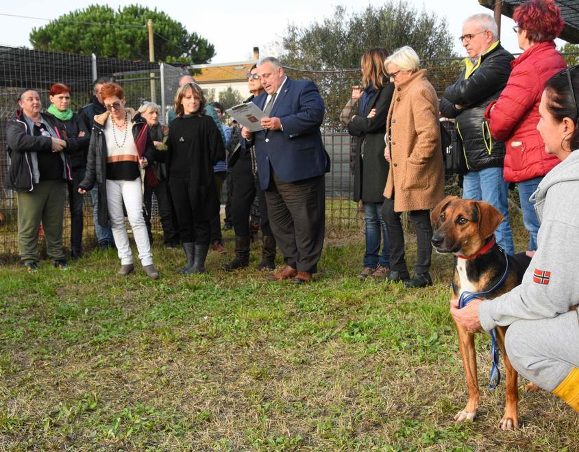 Al canile un progetto per avvicinare anziani e diversamente abili ai quattrozampe