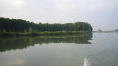 Modena, allerta meteo per i fiumi con la piena del Po