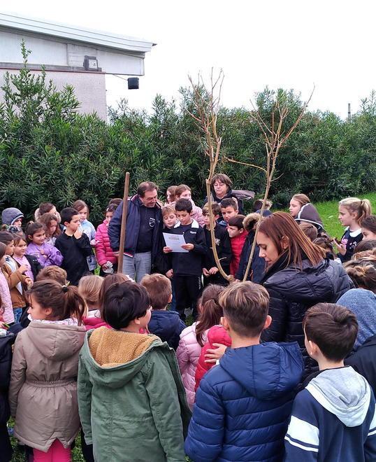 Festa dell’albero, un gelso bianco a scuola