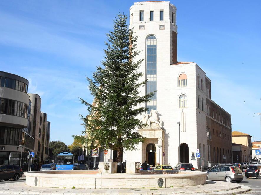 Arrivati gli alberi di Natale