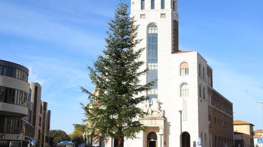 Arrivati gli alberi di Natale