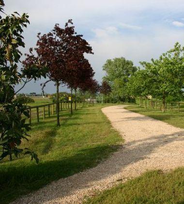 Città più verde col progetto Perfect Individuate 7 aree per piantumare 