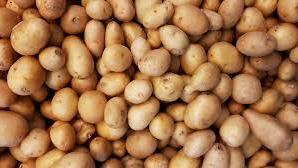 Buona e salutare, la patata è un alimento adatto a tutti