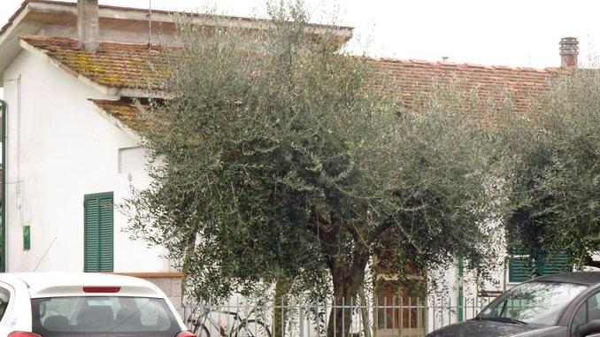 Con un calcio causò la morte del padre dell'amico, condannato a 4 anni e mezzo