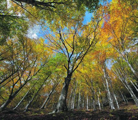 La verde Garfagnana, una “grande foresta” selvaggia e misteriosa 