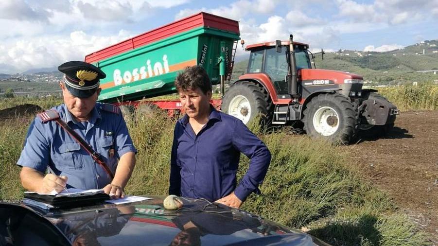 Plastica nel compost per i campi biologici: Ferrara (M5S) dal ministro