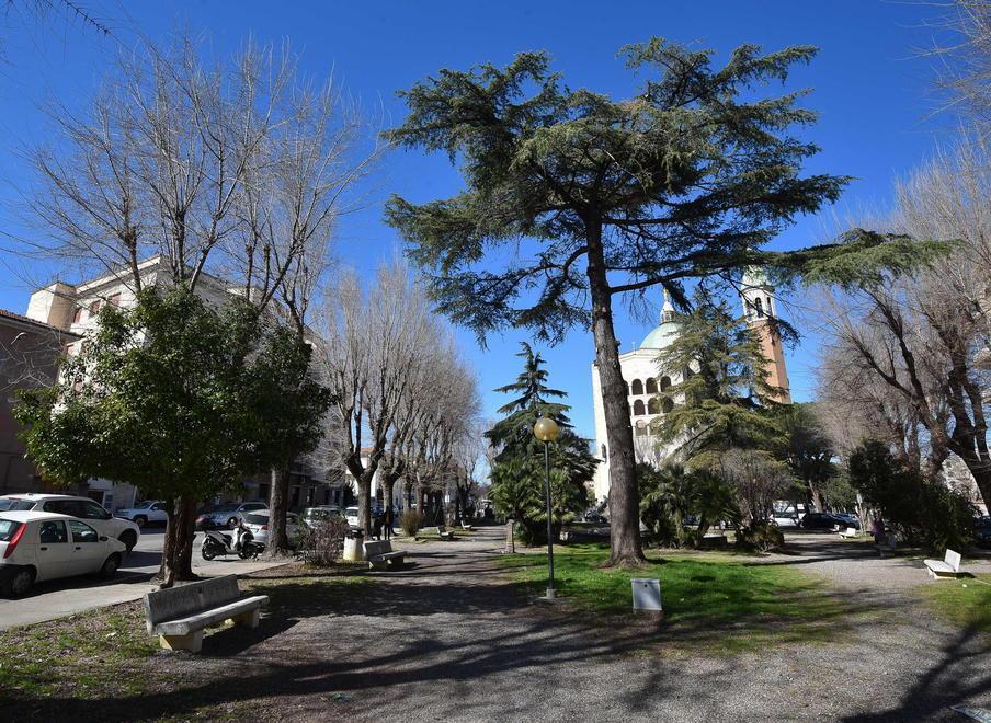 Per piazza Galeazzi nuovo look: via 30 olmi e nasce un corridoio 