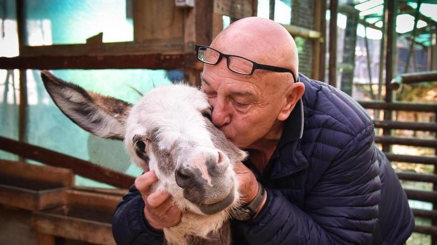 Un’oasi per gli animali maltrattati in Grancia «Ora sogniamo di aprire una merenderia»