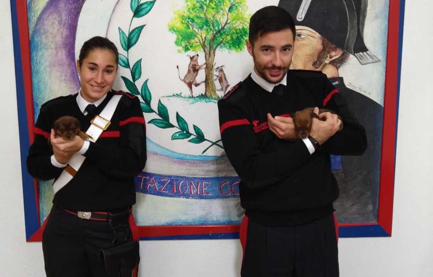 Due cuccioli abbandonati al freddo 