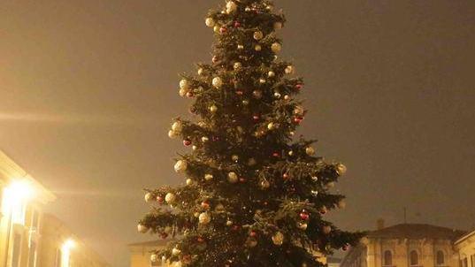 Si accende l’albero “Camillo” Reggio è pronta a fare festa