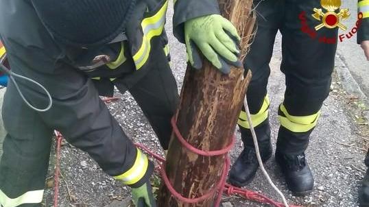 I vigili del fuoco tolgono un albero dal torrente