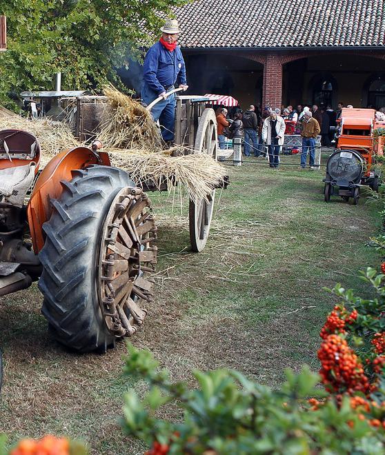 Tradizioni contadine a tavola nella frazione di Velluciana