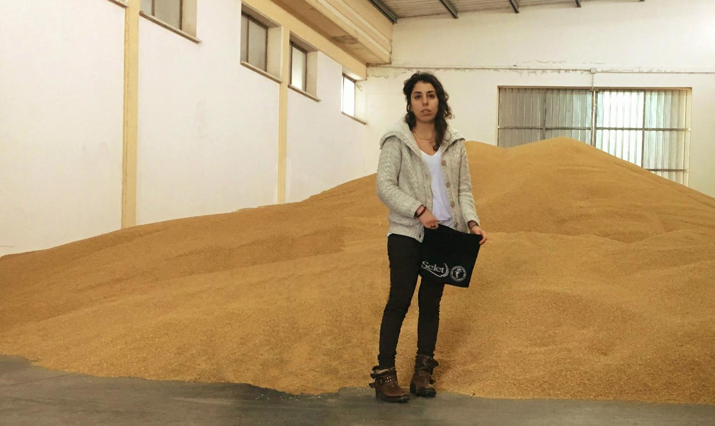 Grano senatore Cappelli l’Antitrust sanziona la Sis 