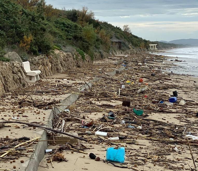 Salvano una tartaruga agonizzante sulla spiaggia imprigionata in una lenza 